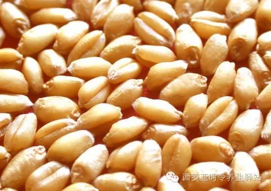 Health Benefits of the Five Grains