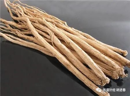 Daily Learning of a Chinese Herb: Dang Shen (Codonopsis)