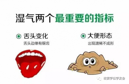 Understanding Dampness in Traditional Chinese Medicine: Symptoms, Effects, and Remedies