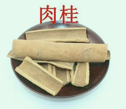 Daily Learning of Chinese Herbs - Cinnamon
