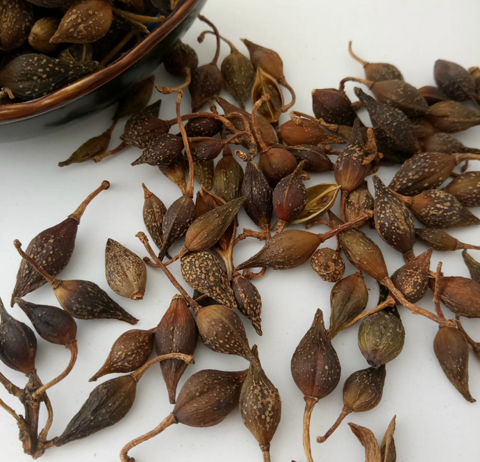 12 Commonly Used Herbs for Clearing Heat and Detoxification