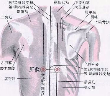 50 Common Acupuncture Points for Treating Various Ailments