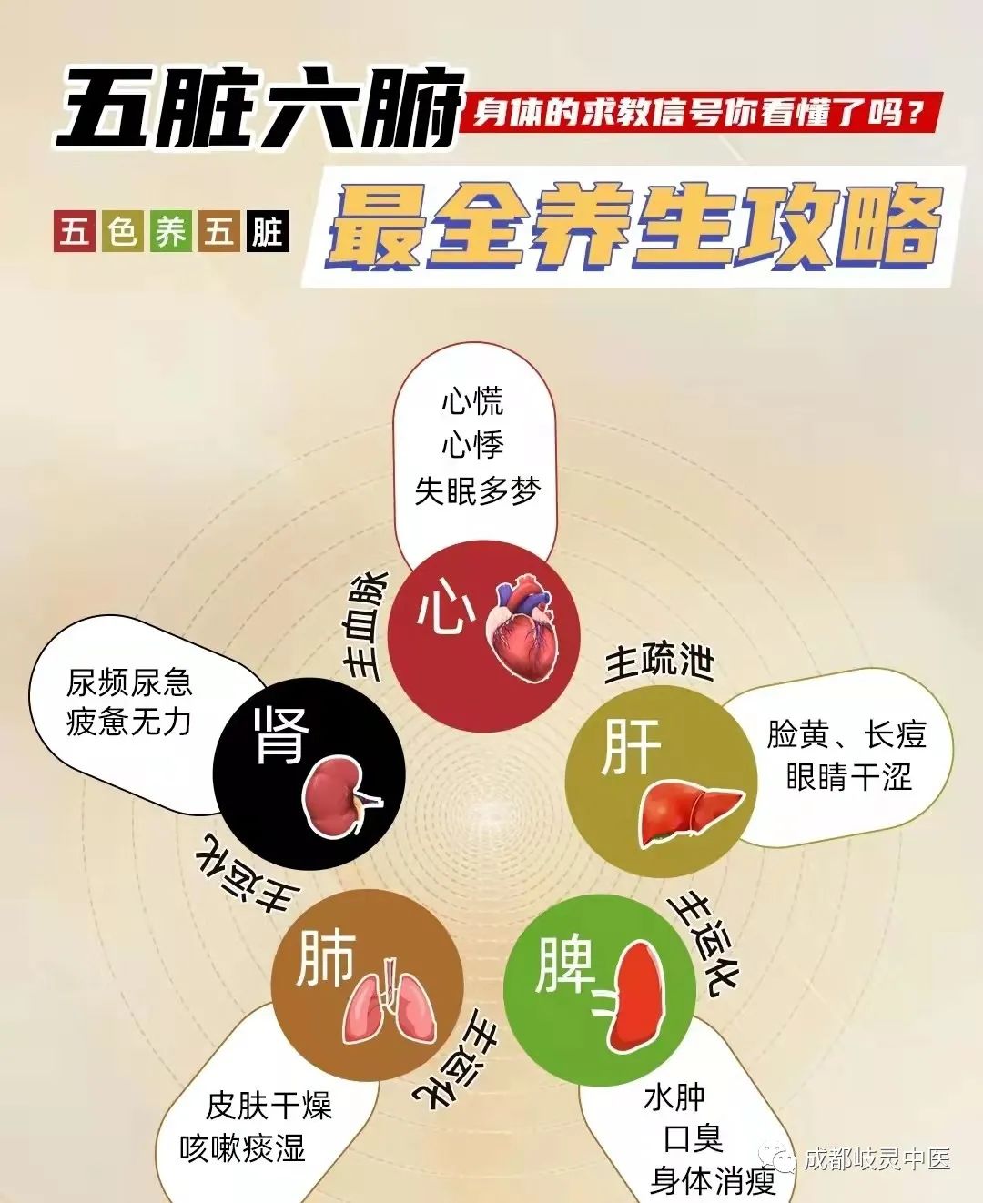 Comprehensive Health Guide for the Five Organs and Six Bowels
