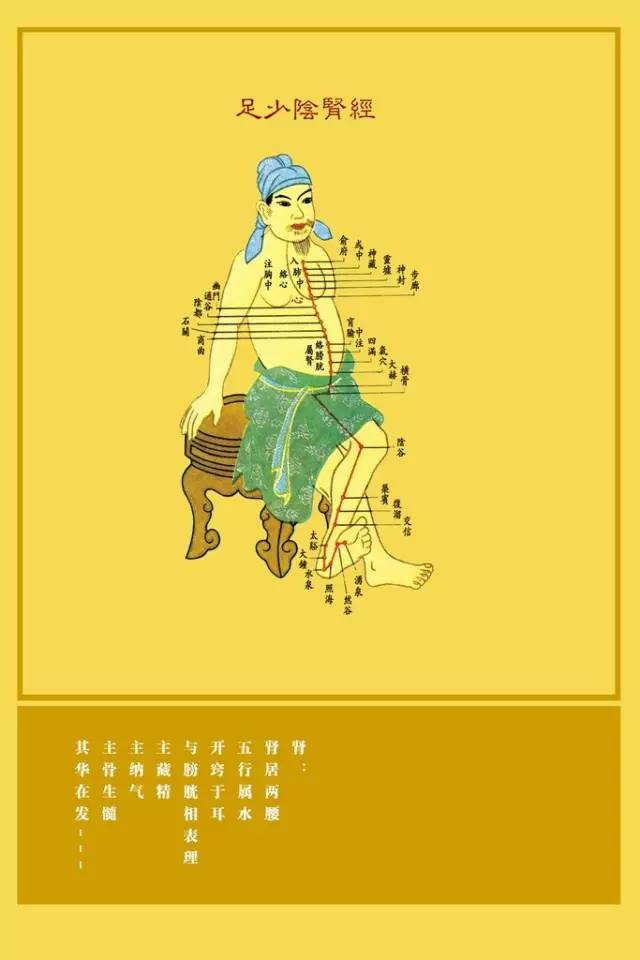 Understanding the Eight Extraordinary Meridians in Traditional Chinese Medicine