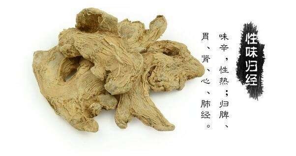 Spleen and Stomach Yang Deficiency and Dietary Recommendations