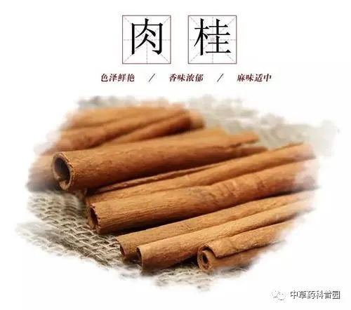 Cinnamon: A Comprehensive Guide