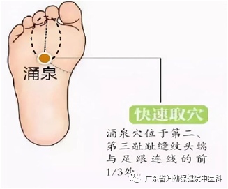 Warming Yang and Nourishing Kidney with Moxa Culture
