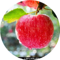 Analysis of Common Kidney Deficiency Conditions in Traditional Chinese Medicine: Kidney Yang Deficiency, Kidney Yin Deficiency, Insufficient Kidney Essence, and Unstable Kidney Qi