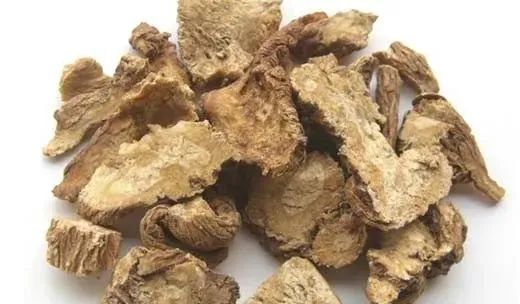 The Efficacy and Functions of Angelica Sinensis (Dang Gui)
