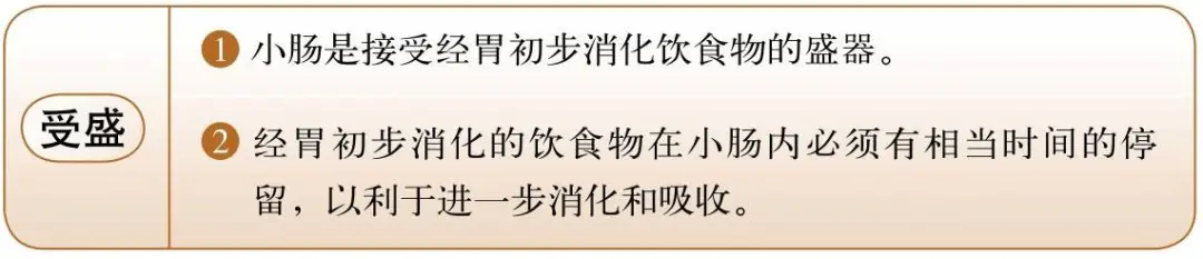 Foundations of Traditional Chinese Medicine: Functions of the Five Organs and Six Bowels