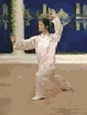 Comprehensive Guide to Tai Chi Movements: Exercise at Home!