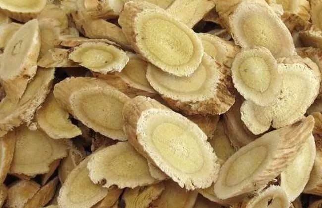 Astragalus: The Premier Qi-Boosting Herb and Its Applications