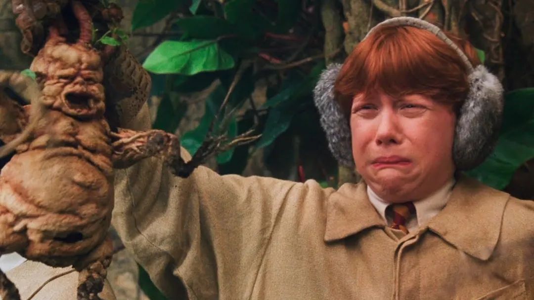 The Roots of Human-Like Plants: Not Just Ginseng, but Also the Old Poisonous Ones