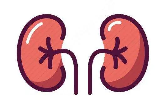 Understanding the 'Five Organs' in Traditional Chinese Medicine: Their Roles and Interconnections