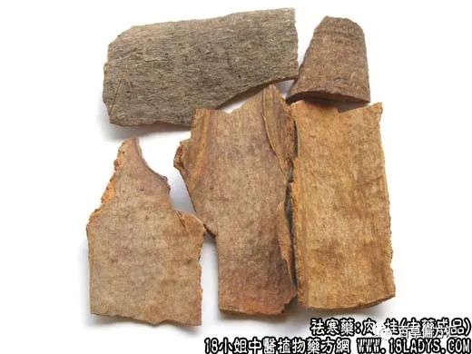 The Efficacy and Functions of Cinnamon in Traditional Chinese Medicine