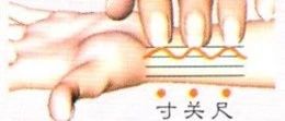 Understanding Floating Pulse in Traditional Chinese Medicine