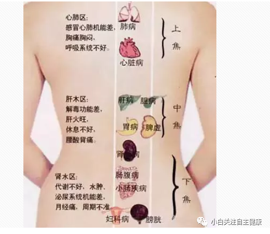 Introduction to the Huangdi Neijing