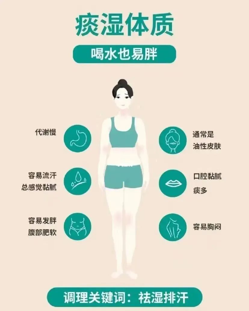 The Nine Major Types of Constitution Identification in Traditional Chinese Medicine