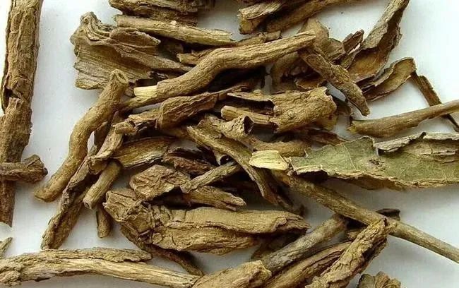 12 Herbs for Clearing Heat and Detoxification: Recommended for All Ages!