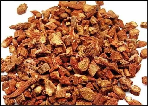 Why Do Kidney Yang Deficiency Remedies Seem Ineffective?