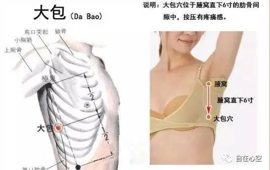 The Fifteen Collaterals in Traditional Chinese Medicine
