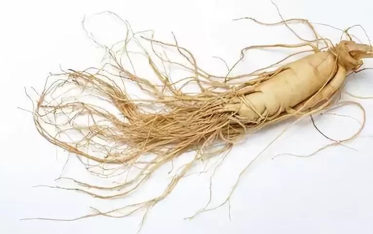 Ginseng Pairings to Warm Through the Cold Winter