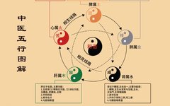 The Theory of Five Elements in Traditional Chinese Medicine