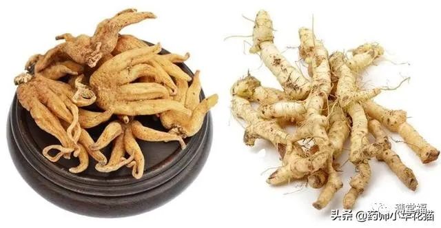 Transformation of Kidney Yin Deficiency and Kidney Yang Deficiency into Both Kidney Yin and Yang Deficiency: Symptoms and 15 Commonly Used TCM Formulas