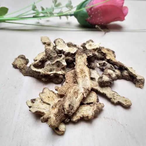 The Efficacy and Contraindications of Cang Zhu (Atractylodes)