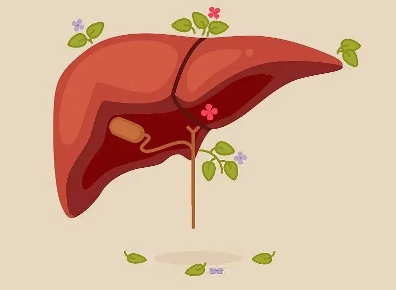 The Five Organs' Favorite Health Movements! Do This Once Daily to Strengthen Your Heart, Liver, Spleen, Lungs, and Kidneys, Reducing Illness!
