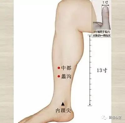 The Fifteen Collaterals in Traditional Chinese Medicine