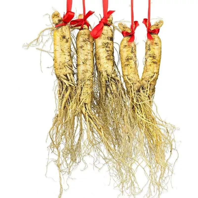 The 7 Best Combinations of Astragalus, 3 Dietary Recommendations, and 4 Contraindications