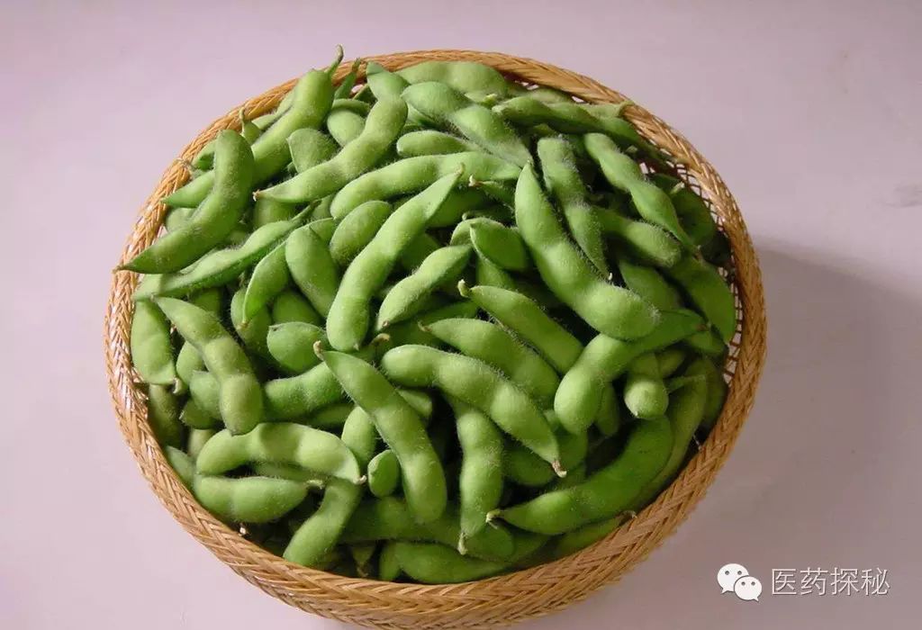 Nourishing with Grains: 6 Types of Beans for Summer Health