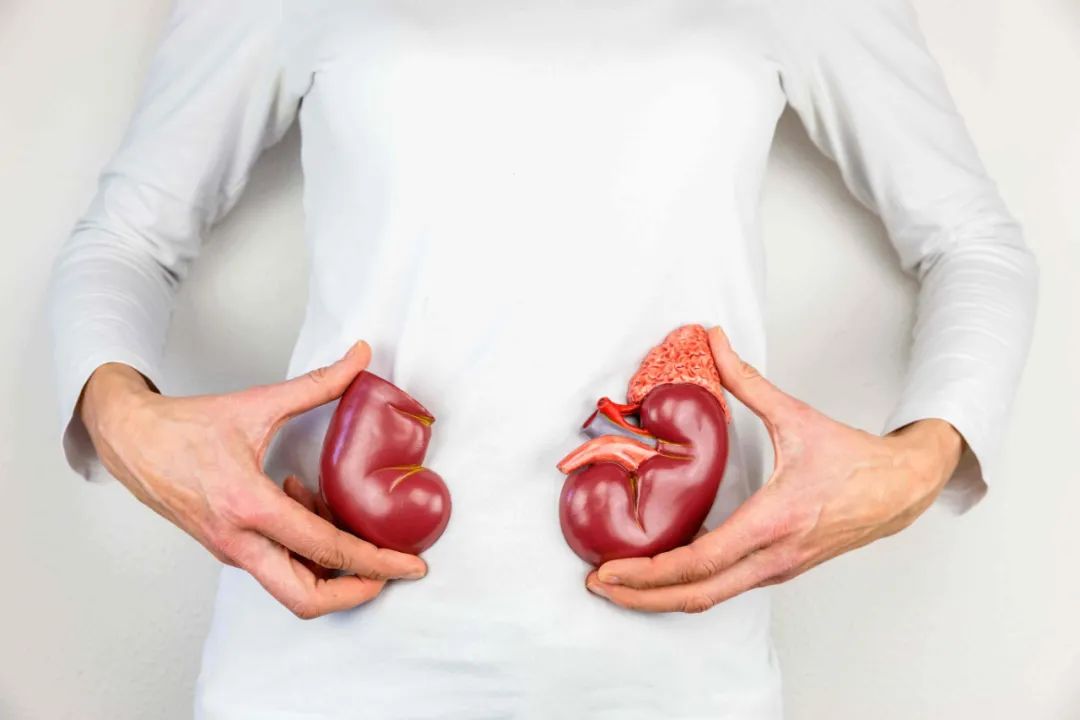 Nourishing Kidney Yin and Supplementing Kidney Yang: Understanding Kidney Yin Deficiency and Kidney Yang Deficiency