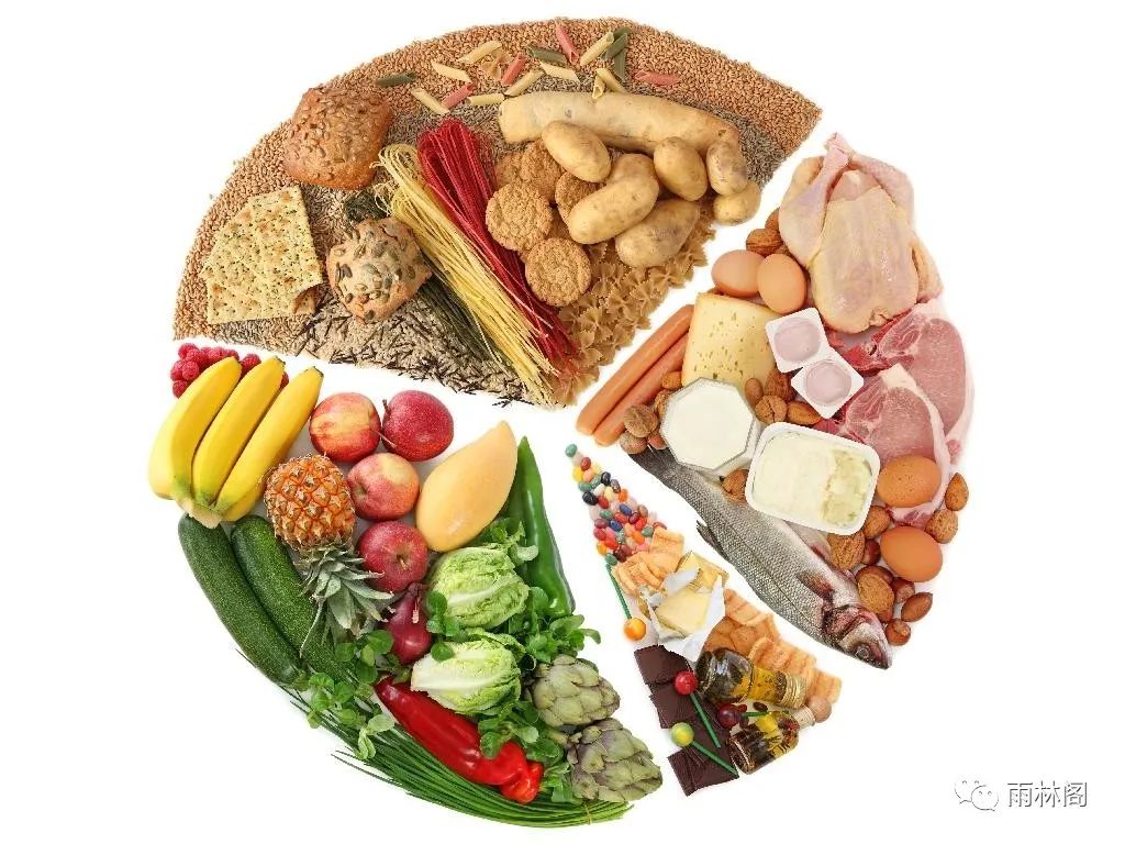 The Theories of Disease Etiology in Traditional Chinese Medicine: Dietary Imbalance and Work-Rest Balance (Internal Injury Causes)