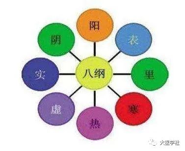 Collection of Eight Principles Differentiation (8 Episodes)
