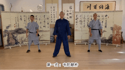 Detailed Explanation of the Twelve Movements of the Ancient Yi Jin Jing