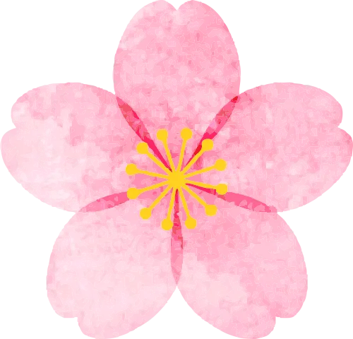 Understanding Dan Shen (Salvia miltiorrhiza) in Traditional Chinese Medicine