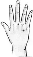 47 Unique Acupuncture Points Worth Seeing! (Collector's Edition)