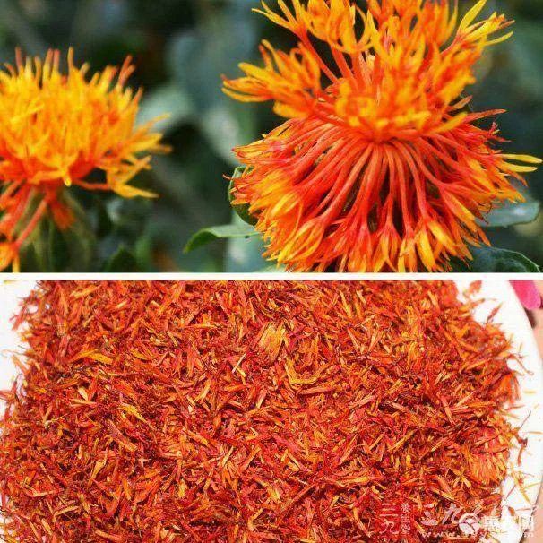 Hong Hua (Safflower) - A Comprehensive Overview