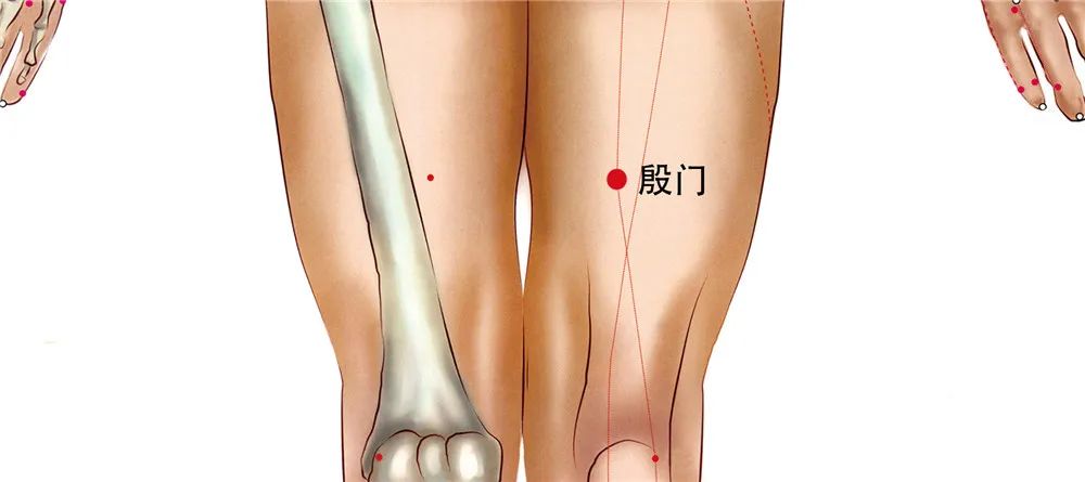 Regularly Press These Acupuncture Points for Sufficient Qi and Blood, Balancing Yin and Yang!