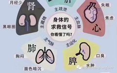 The Path of Health Preservation: The Relationship Between the Five Organs and Six Bowels