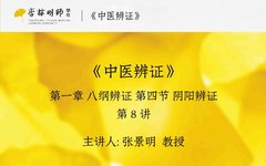 Lecture 8: Yin-Yang Differentiation in TCM Diagnosis