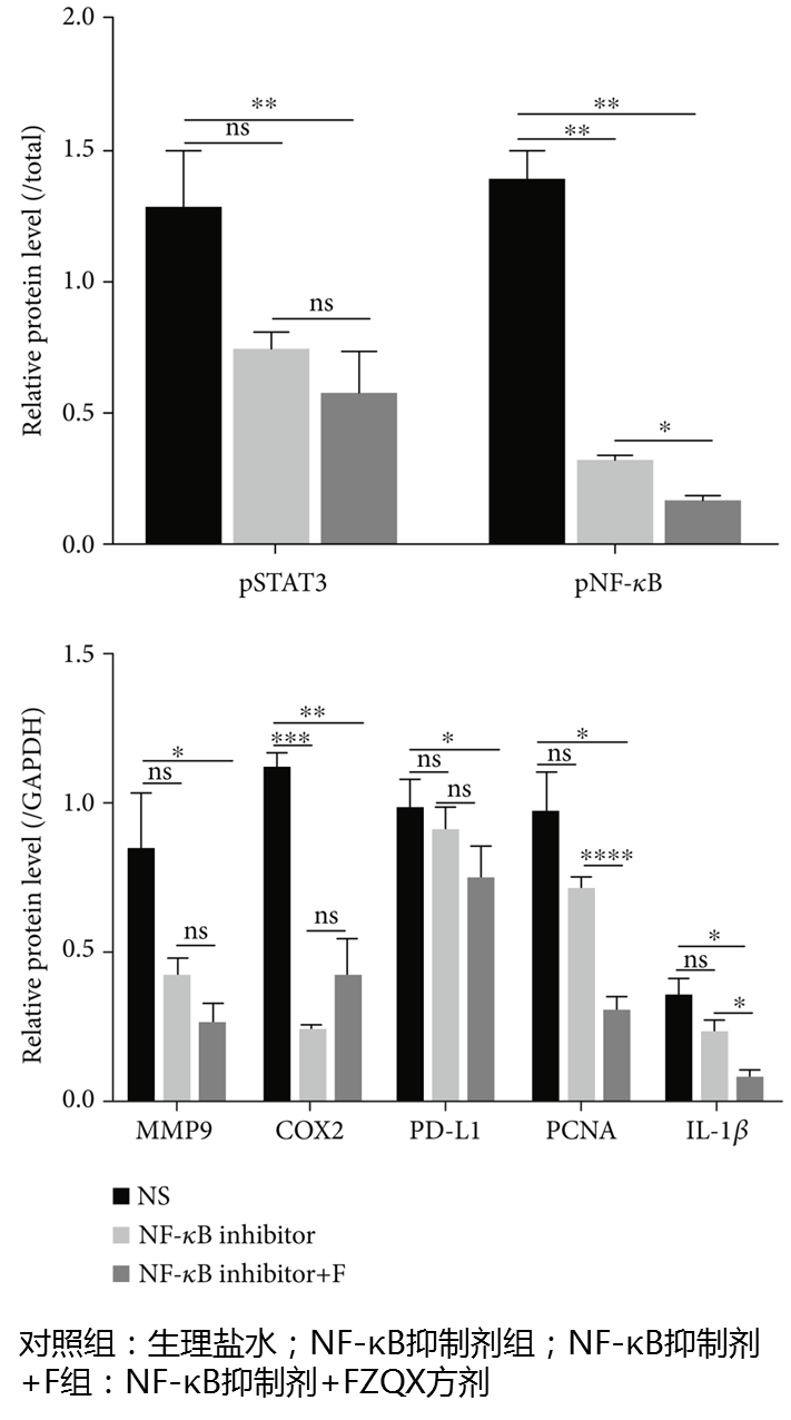 Fu Zheng Qu Xie Formula: A Clinical Study on Preventing Recurrence and Metastasis of Early-Stage Lung Adenocarcinoma