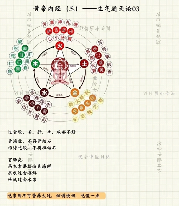 Mind Map of the Huangdi Neijing (Essential Content)