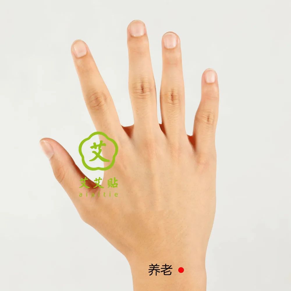 The Hand Taiyang Small Intestine Meridian: Differentiating Clarity and Turbidity, Transforming Qi and Blood