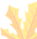 The Efficacy and Cultivation Techniques of Atractylodes