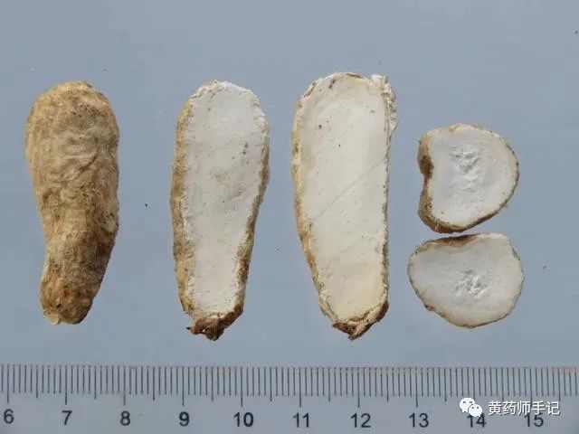 5 Commonly Confused Chinese Herbs: Is Dried Ginger Just Sun-Dried Fresh Ginger? Is Cinnamon the Same as Cassia?