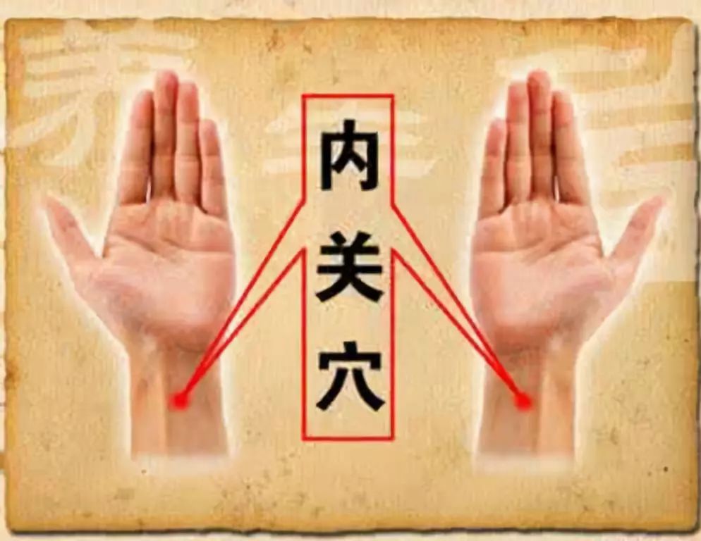 Essential Knowledge of Traditional Chinese Medicine You Must Understand
