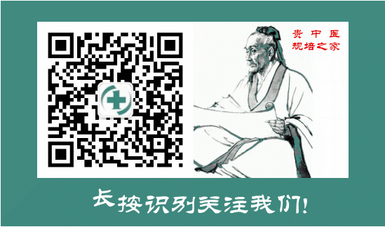 The 15th Issue of 'Classical TCM Lectures': 'Differentiation and Treatment of Wet-Heat Syndrome' - Jueyin 'Convulsions'